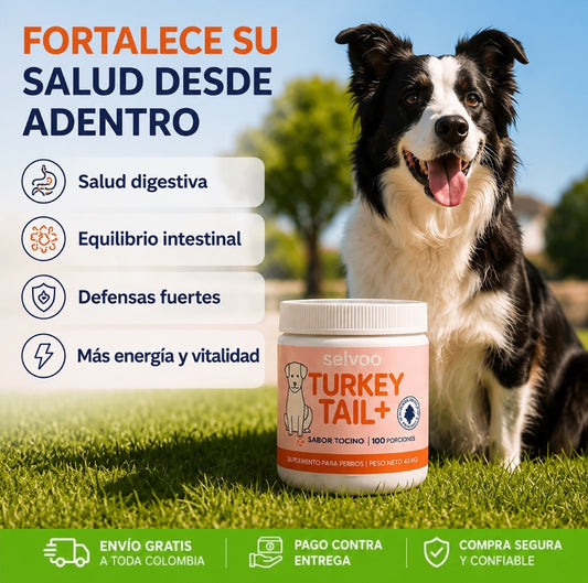 Turkey Tail+ | Más bienestar, mejor digestión y una rutina más saludable para tu perro