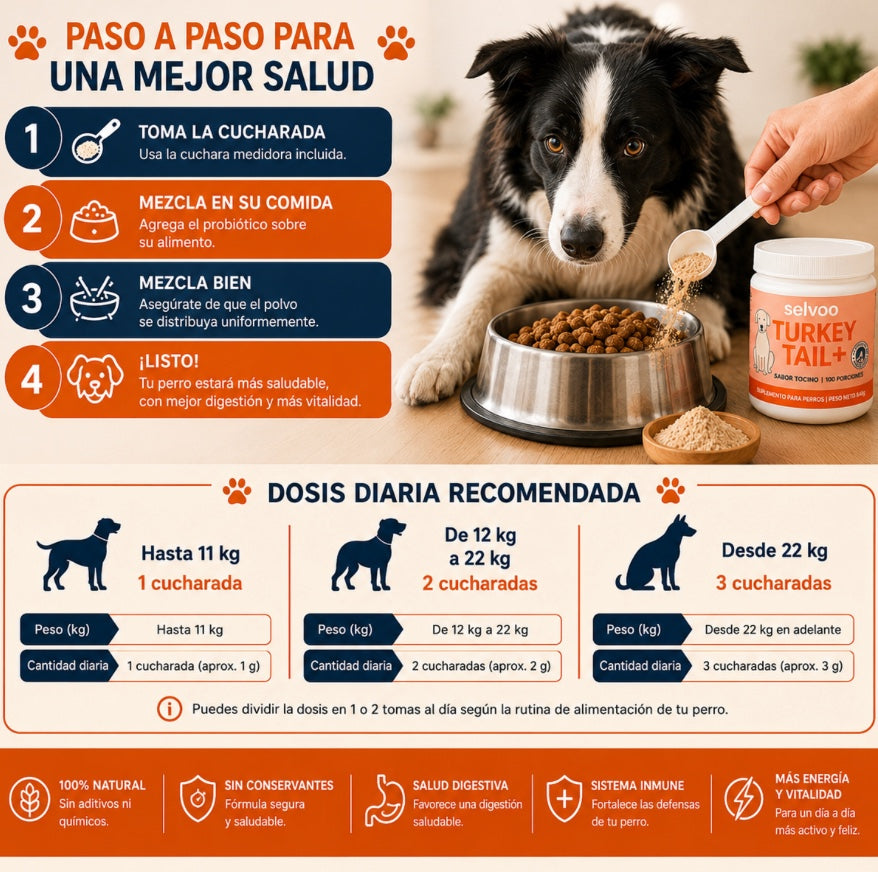 Turkey Tail+ | Más bienestar, mejor digestión y una rutina más saludable para tu perro