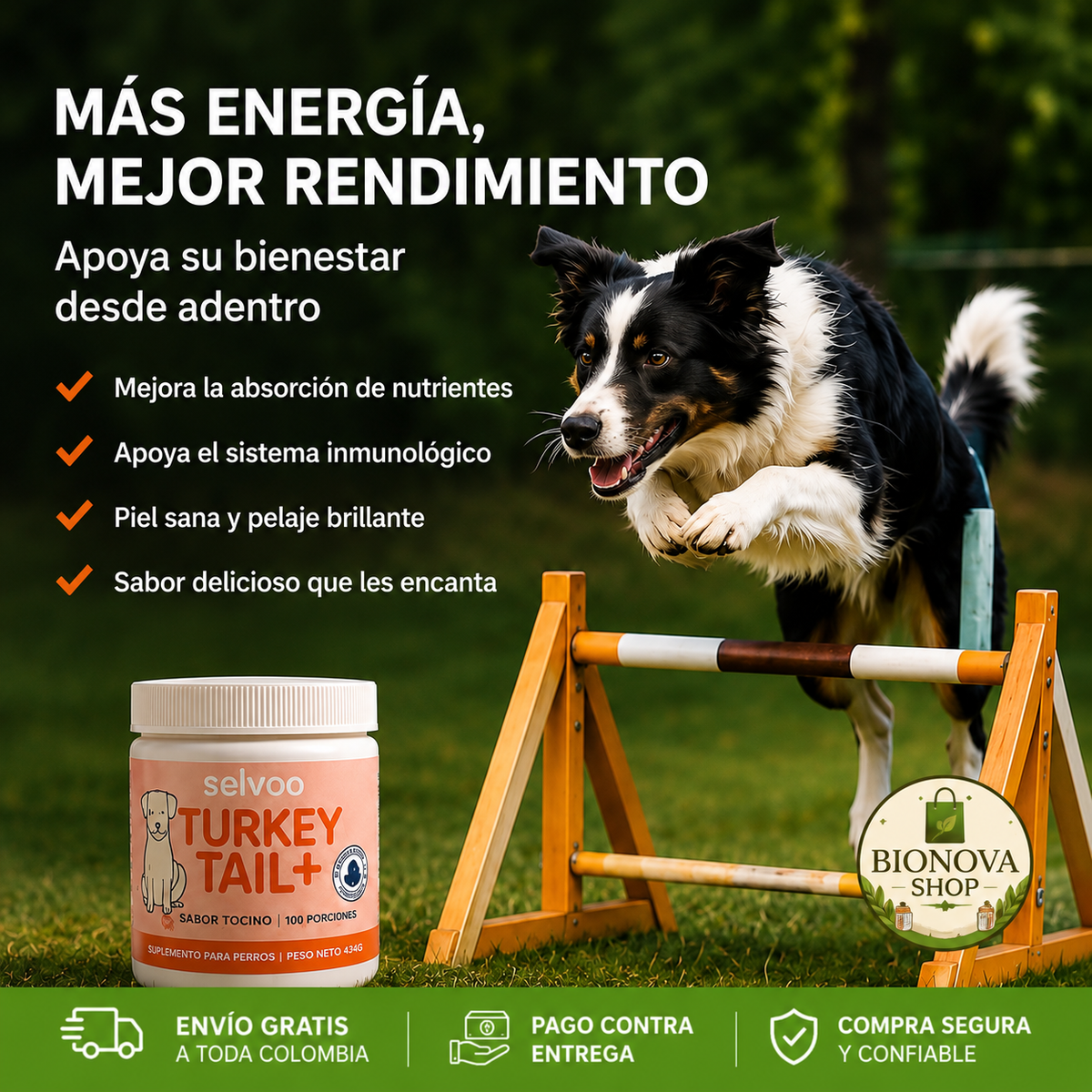 Turkey Tail+ | Más bienestar, mejor digestión y una rutina más saludable para tu perro