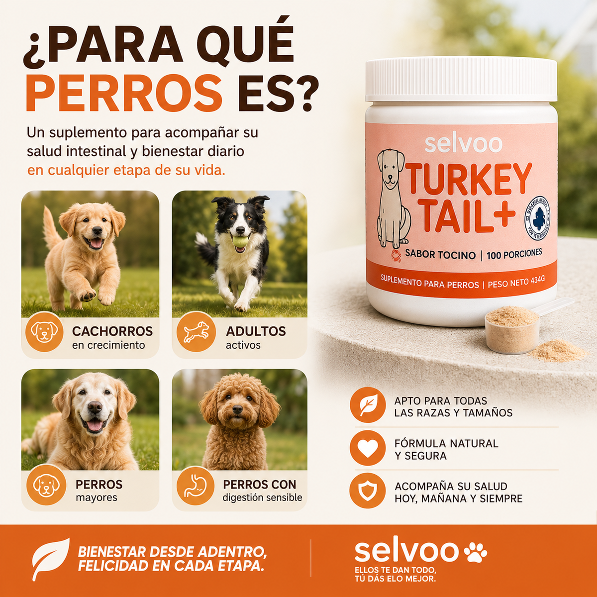 Turkey Tail+ | Más bienestar, mejor digestión y una rutina más saludable para tu perro